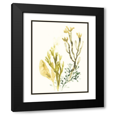 Kelp Collection II Black Modern Wood Framed Art Print with Double Matting by Vess, June Erica