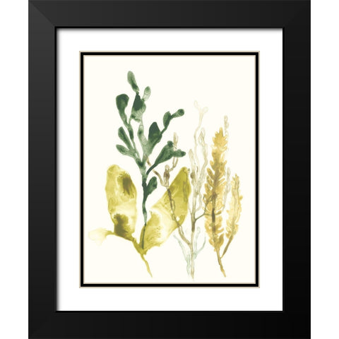 Kelp Collection III Black Modern Wood Framed Art Print with Double Matting by Vess, June Erica