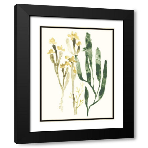 Kelp Collection IV Black Modern Wood Framed Art Print with Double Matting by Vess, June Erica