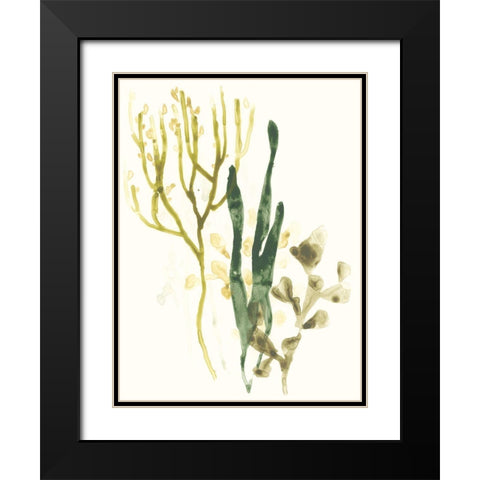Kelp Collection V Black Modern Wood Framed Art Print with Double Matting by Vess, June Erica