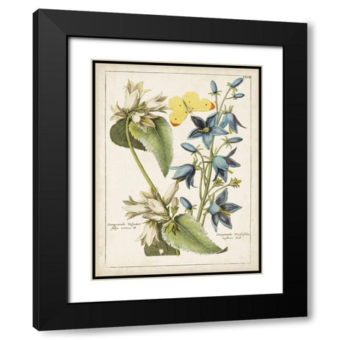 Botanical Bouquet I Black Modern Wood Framed Art Print with Double Matting by Unknown