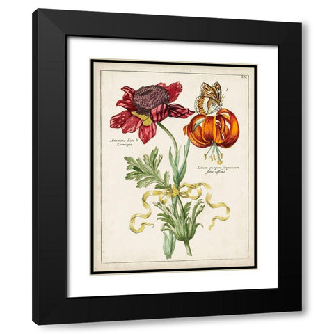 Botanical Bouquet II Black Modern Wood Framed Art Print with Double Matting by Unknown