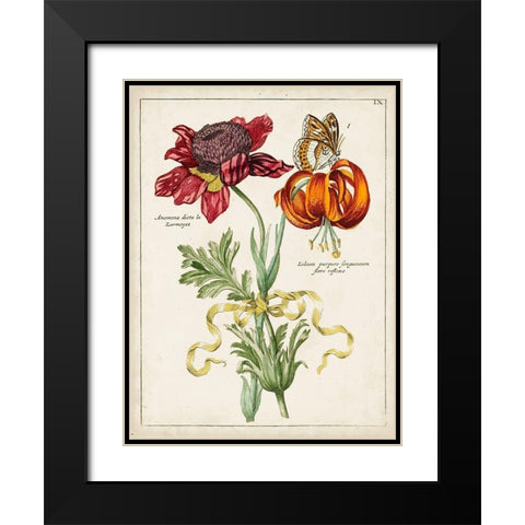 Botanical Bouquet II Black Modern Wood Framed Art Print with Double Matting by Unknown