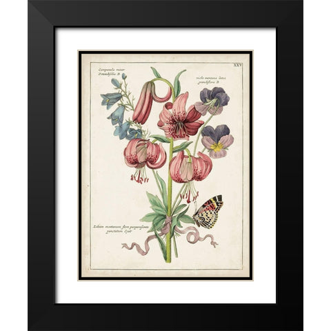 Botanical Bouquet III Black Modern Wood Framed Art Print with Double Matting by Unknown