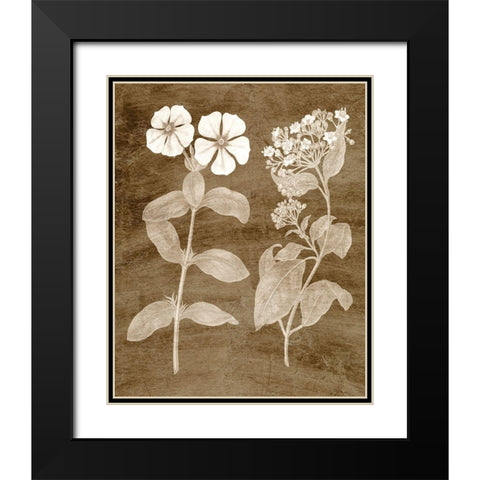 Botanical in Taupe IV Black Modern Wood Framed Art Print with Double Matting by Vision Studio