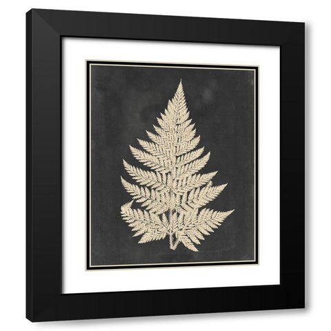 Linen Fern I Black Modern Wood Framed Art Print with Double Matting by Vision Studio