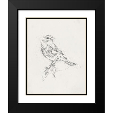 Avian StudyÂ  I Black Modern Wood Framed Art Print with Double Matting by Ethan Harper