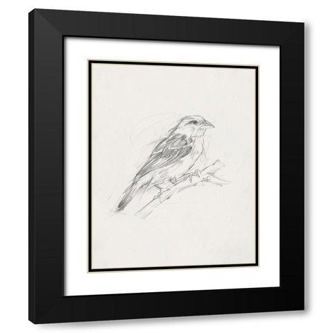 Avian StudyÂ  II Black Modern Wood Framed Art Print with Double Matting by Ethan Harper