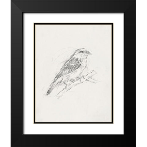 Avian StudyÂ  II Black Modern Wood Framed Art Print with Double Matting by Ethan Harper