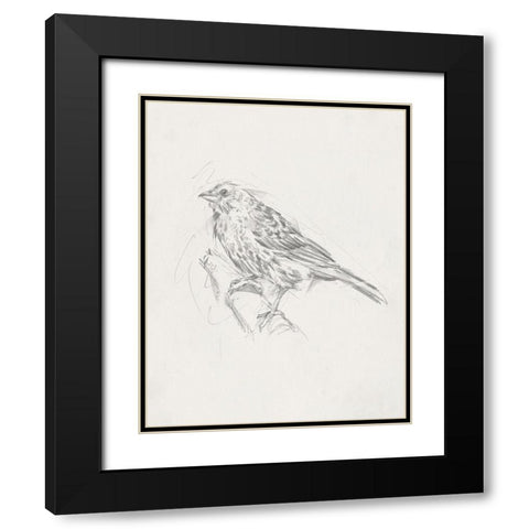 Avian StudyÂ  III Black Modern Wood Framed Art Print with Double Matting by Ethan Harper
