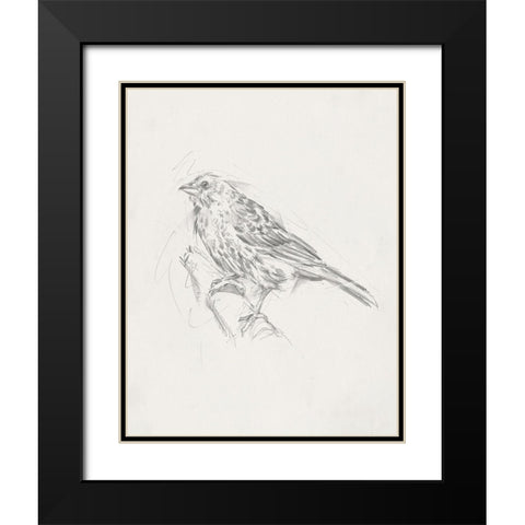Avian StudyÂ  III Black Modern Wood Framed Art Print with Double Matting by Ethan Harper