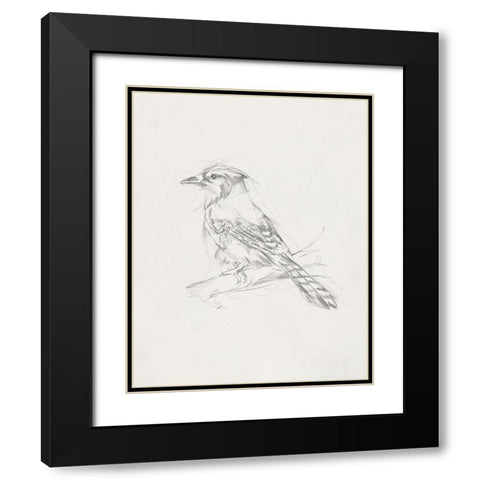 Avian StudyÂ  IV Black Modern Wood Framed Art Print with Double Matting by Ethan Harper