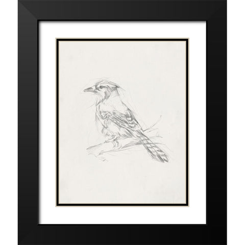 Avian StudyÂ  IV Black Modern Wood Framed Art Print with Double Matting by Ethan Harper