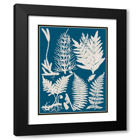 Linen and Blue Ferns II Black Modern Wood Framed Art Print with Double Matting by Vision Studio