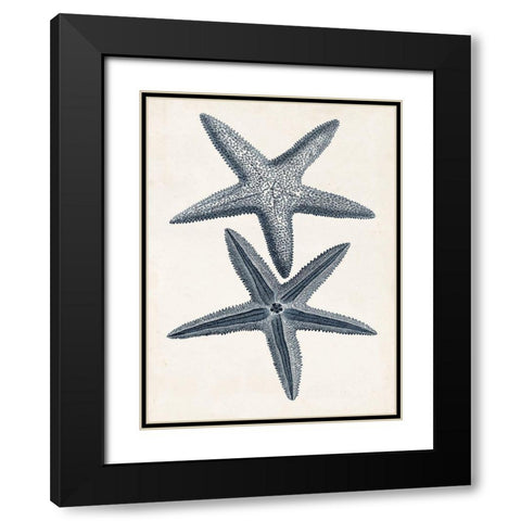 Coastal Collection in Indigo II Black Modern Wood Framed Art Print with Double Matting by Vision Studio