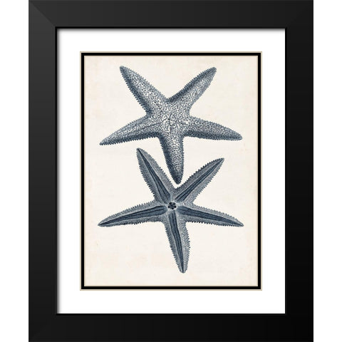 Coastal Collection in Indigo II Black Modern Wood Framed Art Print with Double Matting by Vision Studio