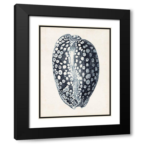 Coastal Collection in Indigo III Black Modern Wood Framed Art Print with Double Matting by Vision Studio