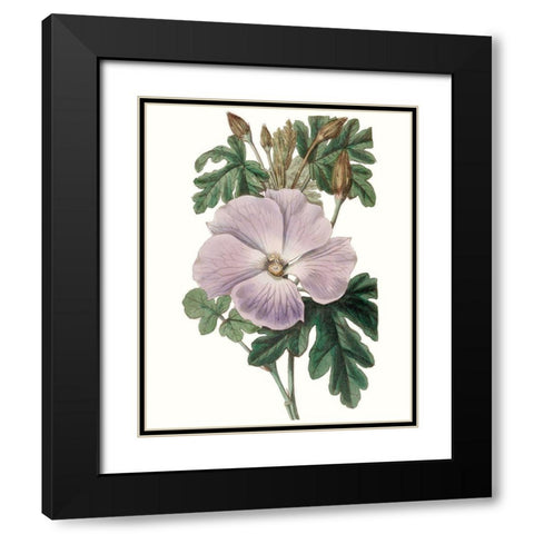 Lavender Beauties I Black Modern Wood Framed Art Print with Double Matting by Edwards