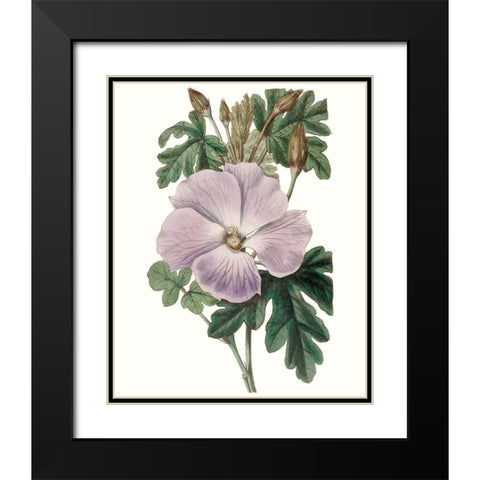 Lavender Beauties I Black Modern Wood Framed Art Print with Double Matting by Edwards