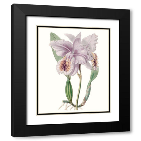 Lavender Beauties II Black Modern Wood Framed Art Print with Double Matting by Edwards
