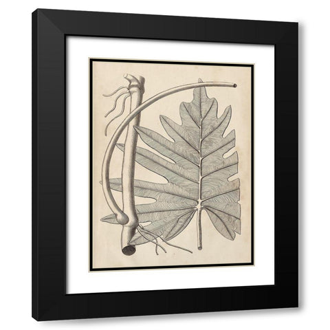 Distinctive Leaves I Black Modern Wood Framed Art Print with Double Matting by Vision Studio