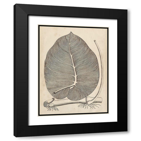 Distinctive Leaves II Black Modern Wood Framed Art Print with Double Matting by Vision Studio