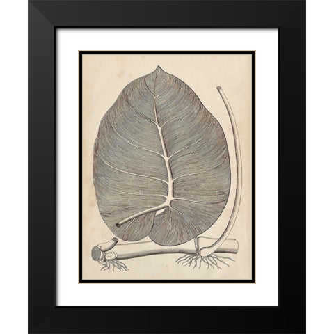 Distinctive Leaves II Black Modern Wood Framed Art Print with Double Matting by Vision Studio