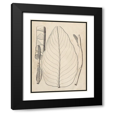 Distinctive Leaves III Black Modern Wood Framed Art Print with Double Matting by Vision Studio