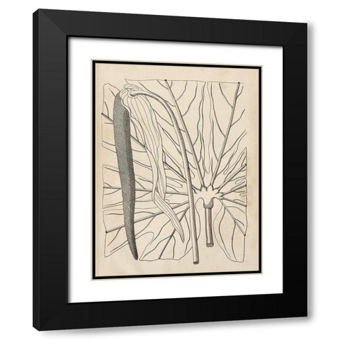 Distinctive Leaves IV Black Modern Wood Framed Art Print with Double Matting by Vision Studio