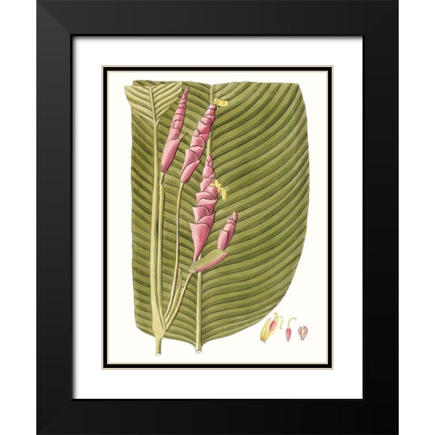 Leaves of the Tropics I Black Modern Wood Framed Art Print with Double Matting by Vision Studio