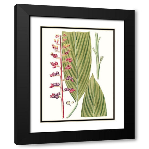 Leaves of the Tropics III Black Modern Wood Framed Art Print with Double Matting by Vision Studio