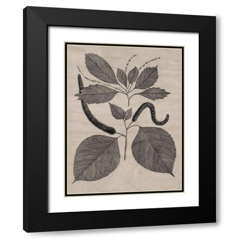 Eloquent Leaves II Black Modern Wood Framed Art Print with Double Matting by Vision Studio