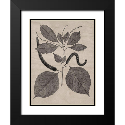 Eloquent Leaves II Black Modern Wood Framed Art Print with Double Matting by Vision Studio