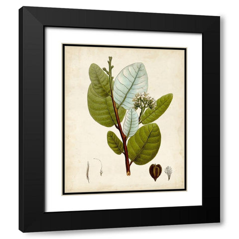 Verdant Foliage I Black Modern Wood Framed Art Print with Double Matting by Vision Studio