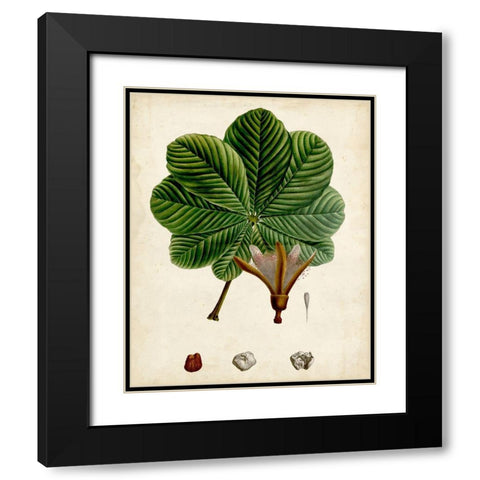 Verdant Foliage II Black Modern Wood Framed Art Print with Double Matting by Vision Studio