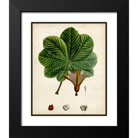 Verdant Foliage II Black Modern Wood Framed Art Print with Double Matting by Vision Studio