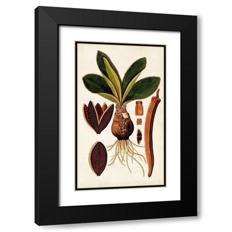Leaf Varieties V Black Modern Wood Framed Art Print with Double Matting by Vision Studio