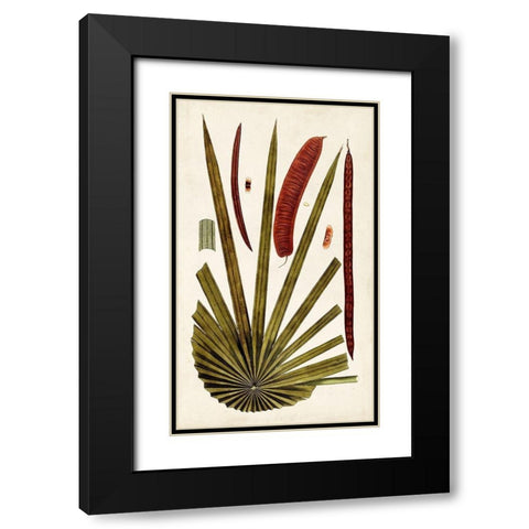 Leaf Varieties VI Black Modern Wood Framed Art Print with Double Matting by Vision Studio