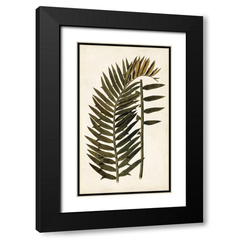 Leaf Varieties VIII Black Modern Wood Framed Art Print with Double Matting by Vision Studio