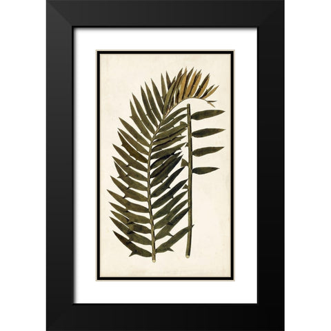 Leaf Varieties VIII Black Modern Wood Framed Art Print with Double Matting by Vision Studio