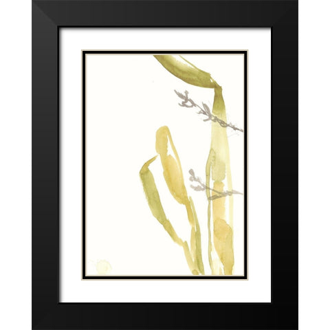 Under Sea Forest IV Black Modern Wood Framed Art Print with Double Matting by Goldberger, Jennifer