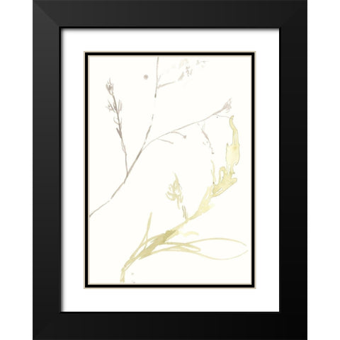 Under Sea Forest IX Black Modern Wood Framed Art Print with Double Matting by Goldberger, Jennifer