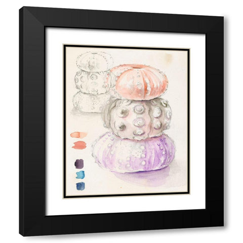 Sea Urchin Sketches I Black Modern Wood Framed Art Print with Double Matting by Parker, Jennifer Paxton