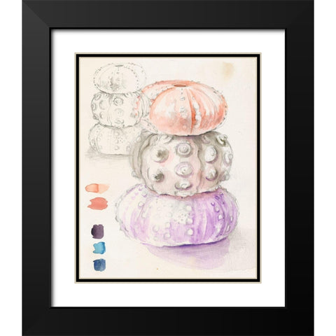 Sea Urchin Sketches I Black Modern Wood Framed Art Print with Double Matting by Parker, Jennifer Paxton