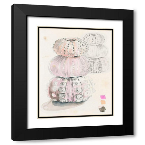 Sea Urchin Sketches II Black Modern Wood Framed Art Print with Double Matting by Parker, Jennifer Paxton