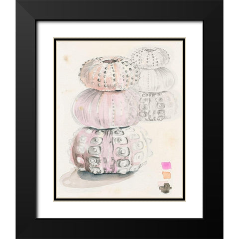 Sea Urchin Sketches II Black Modern Wood Framed Art Print with Double Matting by Parker, Jennifer Paxton