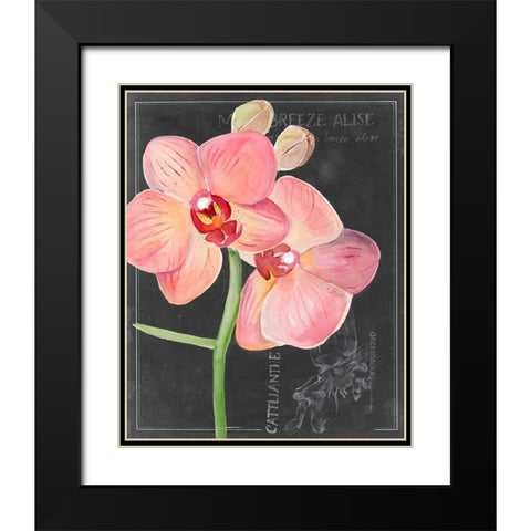 Chalkboard Flower I Black Modern Wood Framed Art Print with Double Matting by Parker, Jennifer Paxton