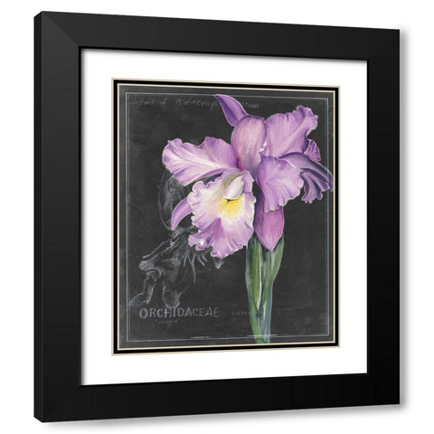 Chalkboard Flower II Black Modern Wood Framed Art Print with Double Matting by Parker, Jennifer Paxton