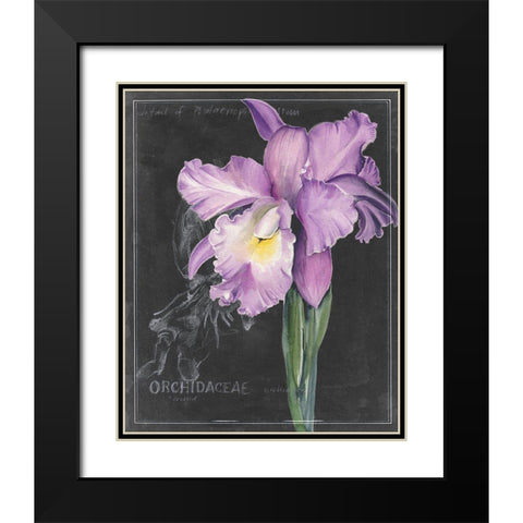 Chalkboard Flower II Black Modern Wood Framed Art Print with Double Matting by Parker, Jennifer Paxton