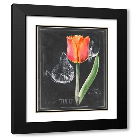 Chalkboard Flower III Black Modern Wood Framed Art Print with Double Matting by Parker, Jennifer Paxton